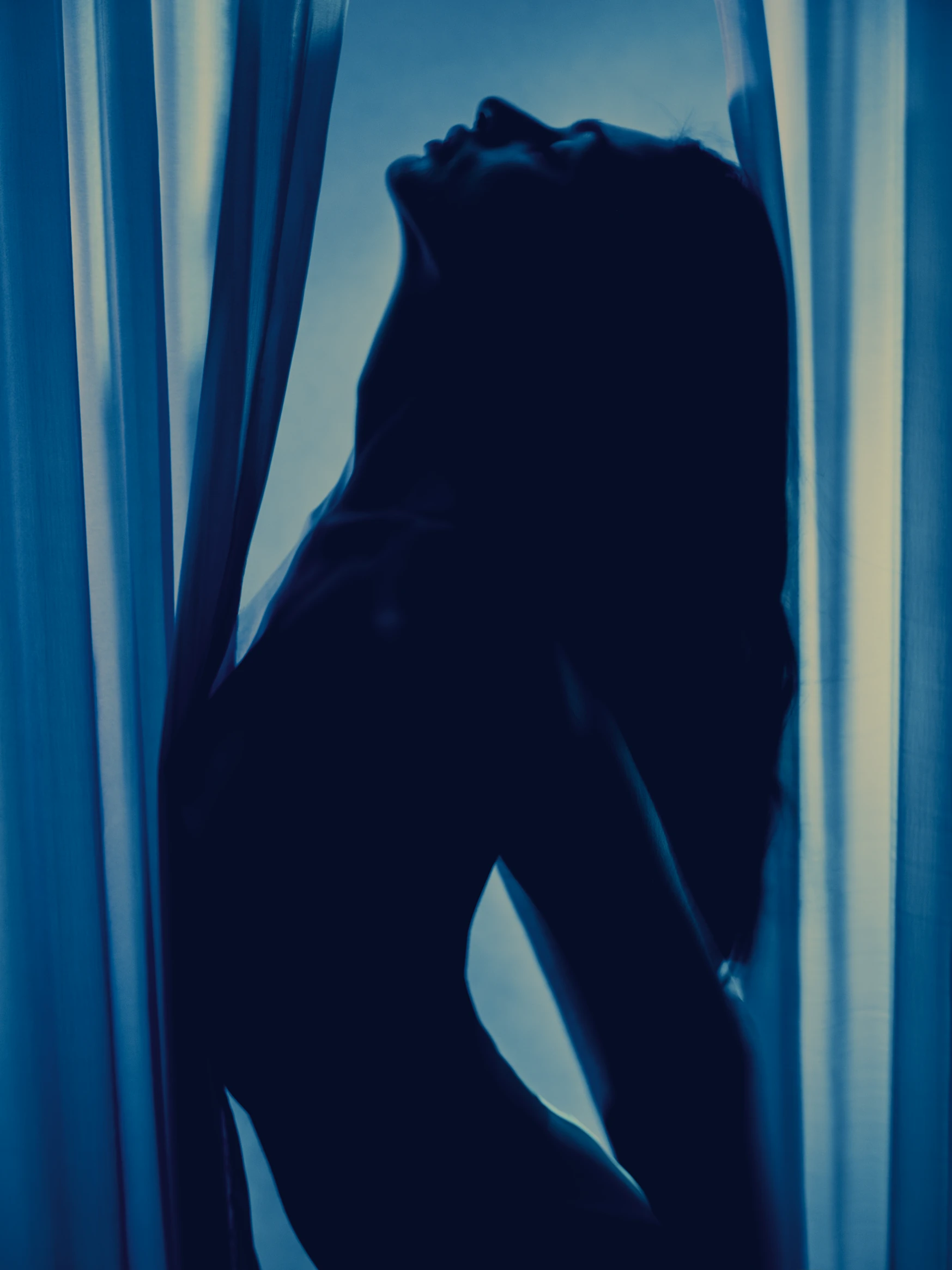 Veiled frame 2