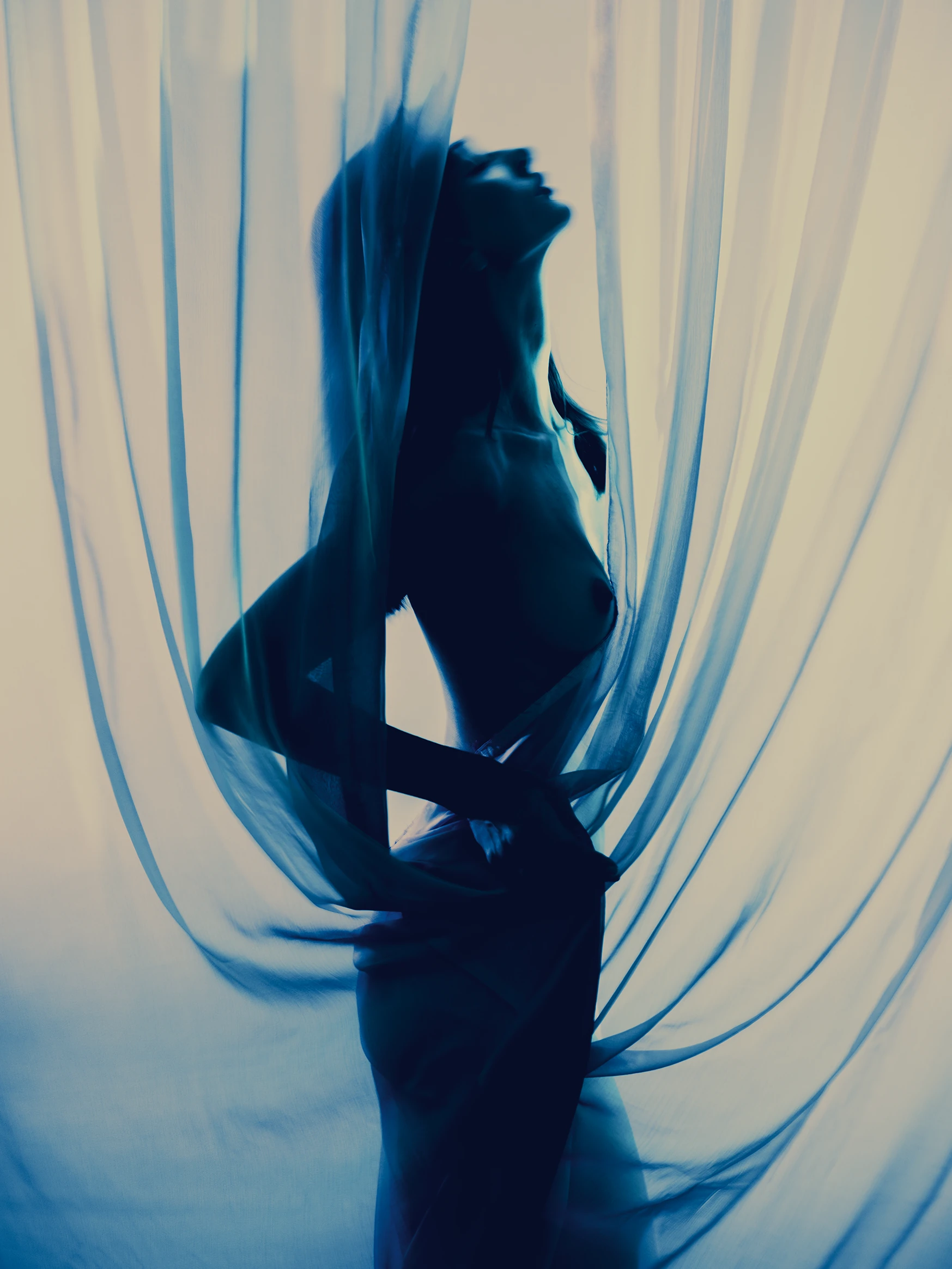Veiled frame 9