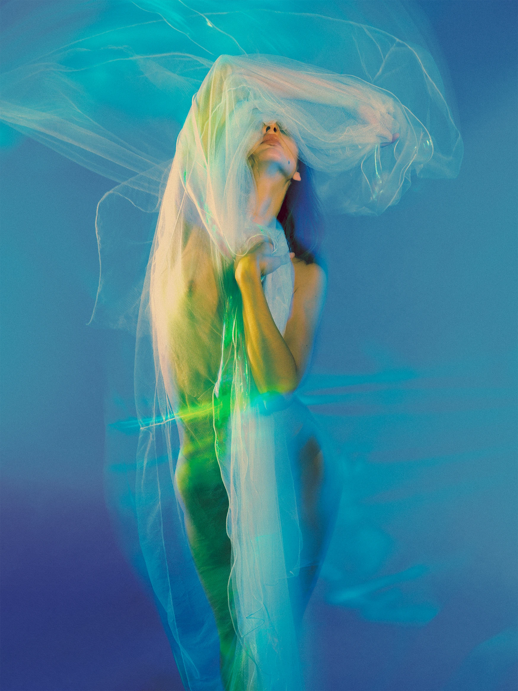 Veiled frame 11